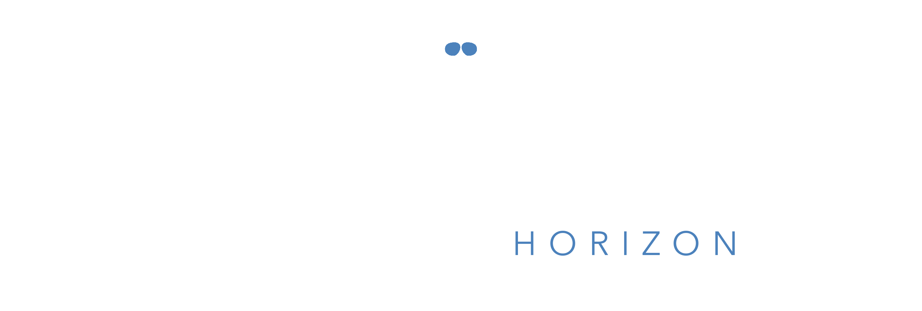 Dragonfly Horizon Logo